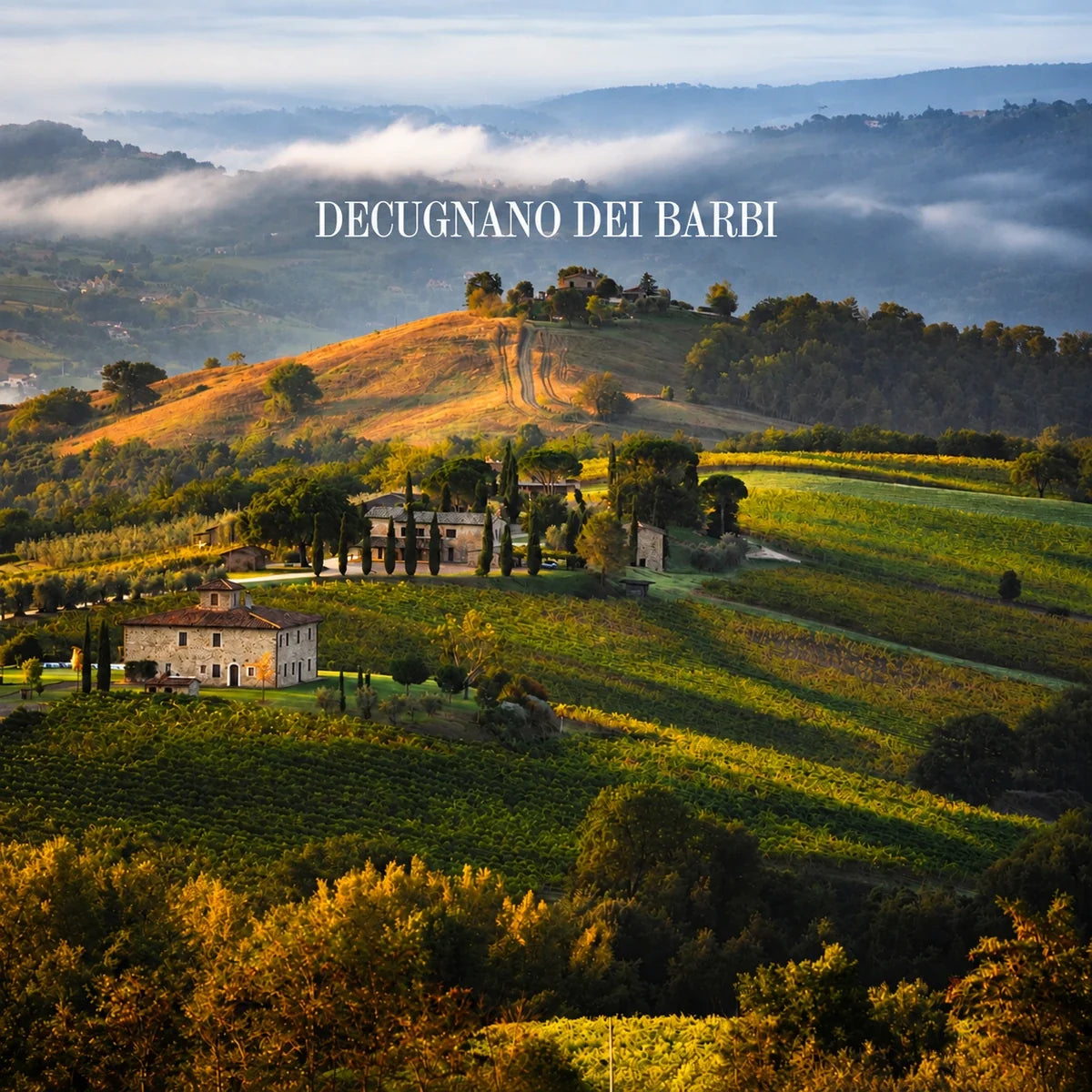 Decugnano dei Barbi, sfeerfoto met logo