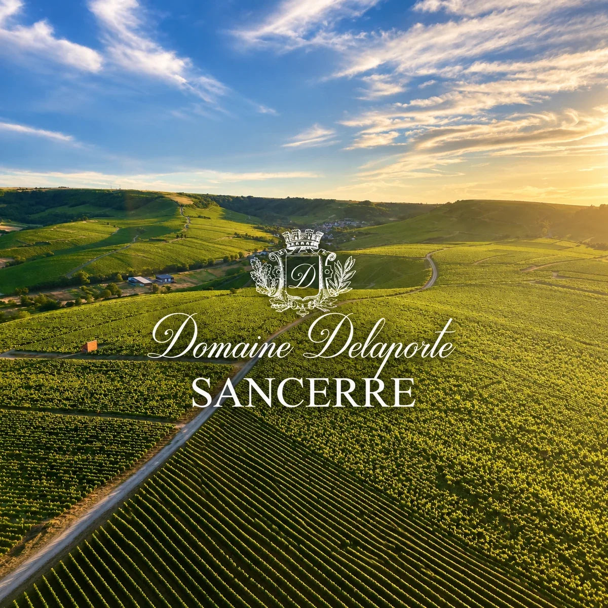 Domaine Delaporte – wijnhuis of wijngaard met officieel logo