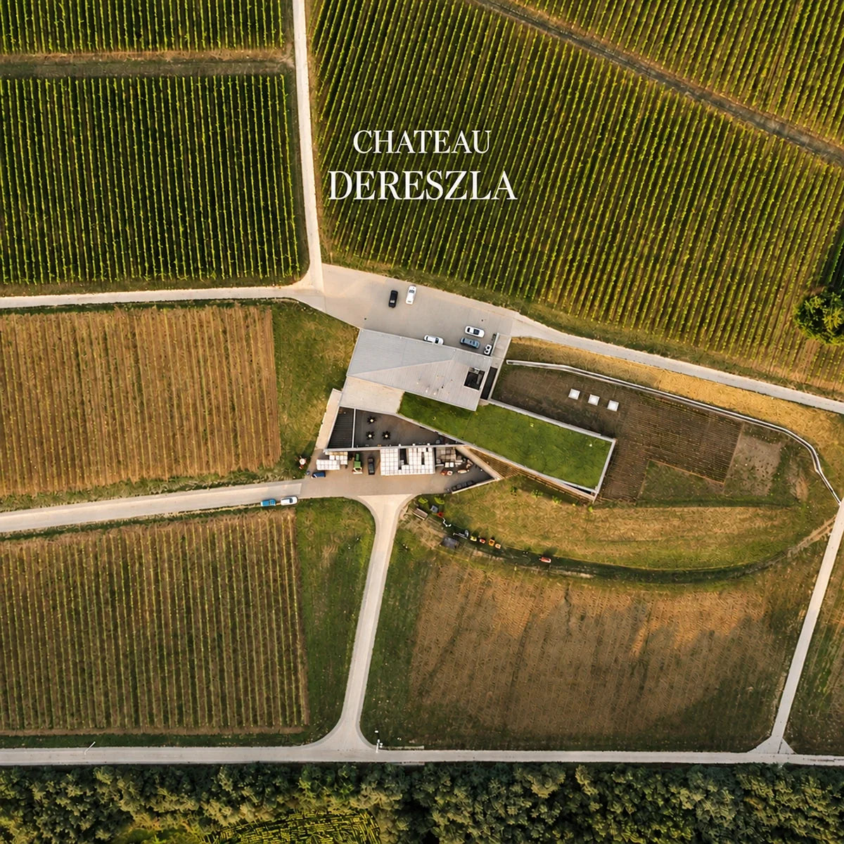 Château Dereszla, sfeerfoto met logo