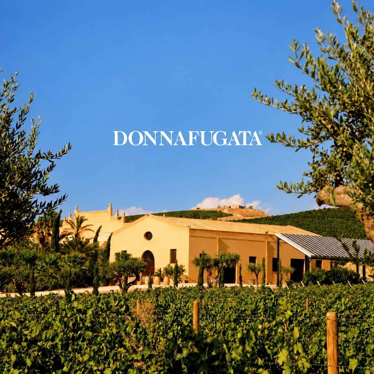 Donnafugata, sfeerfoto met logo