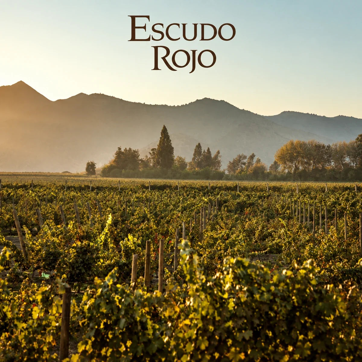 Escudo Rojo, sfeerfoto met logo