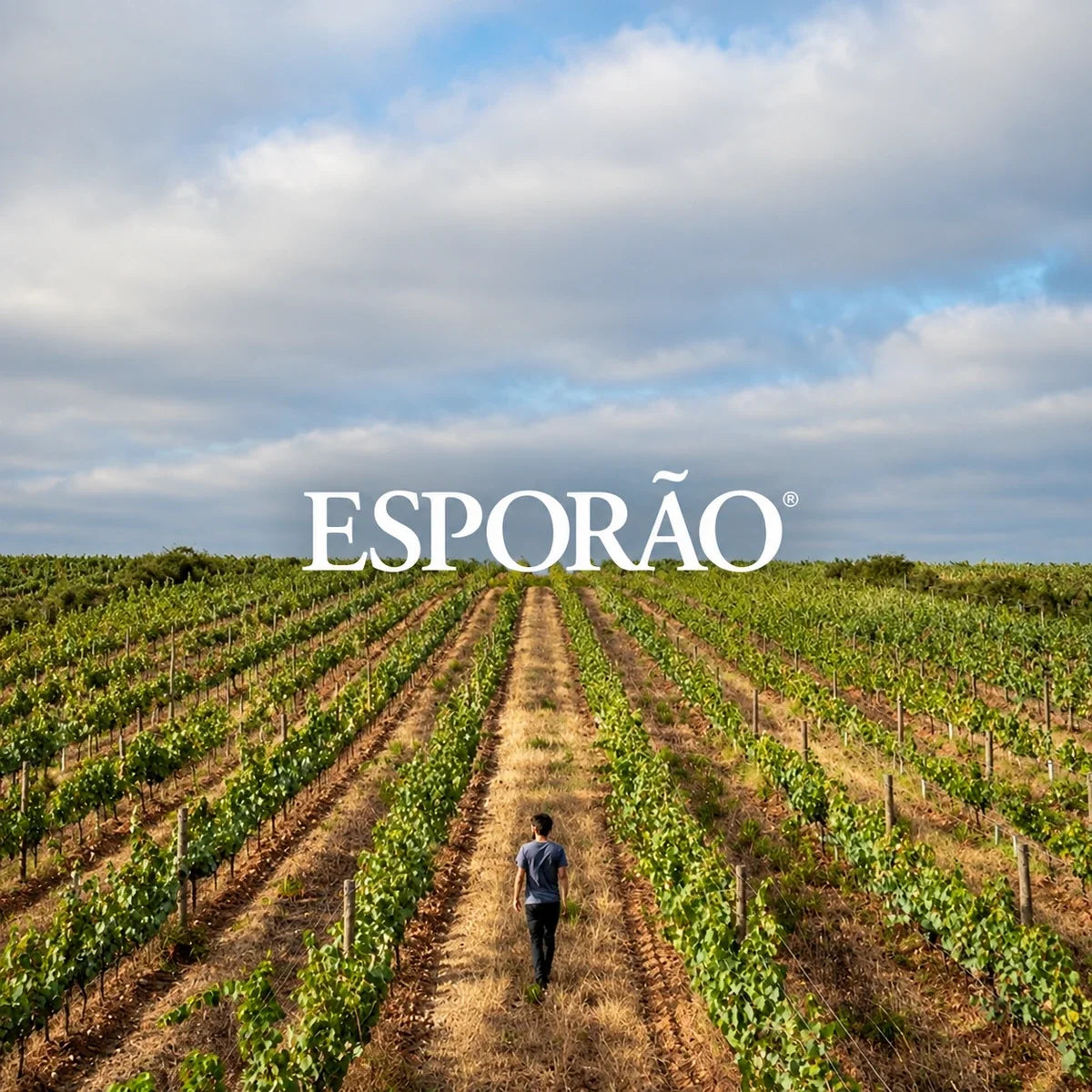 Esporão, sfeerfoto met logo