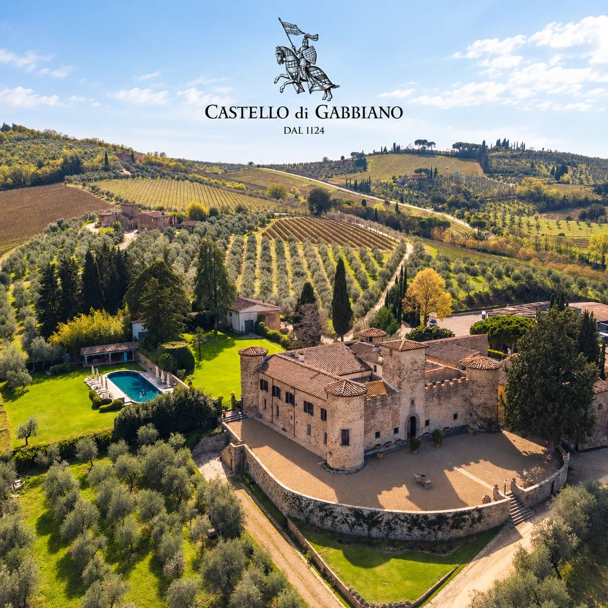 Gabbiano, sfeerfoto met logo