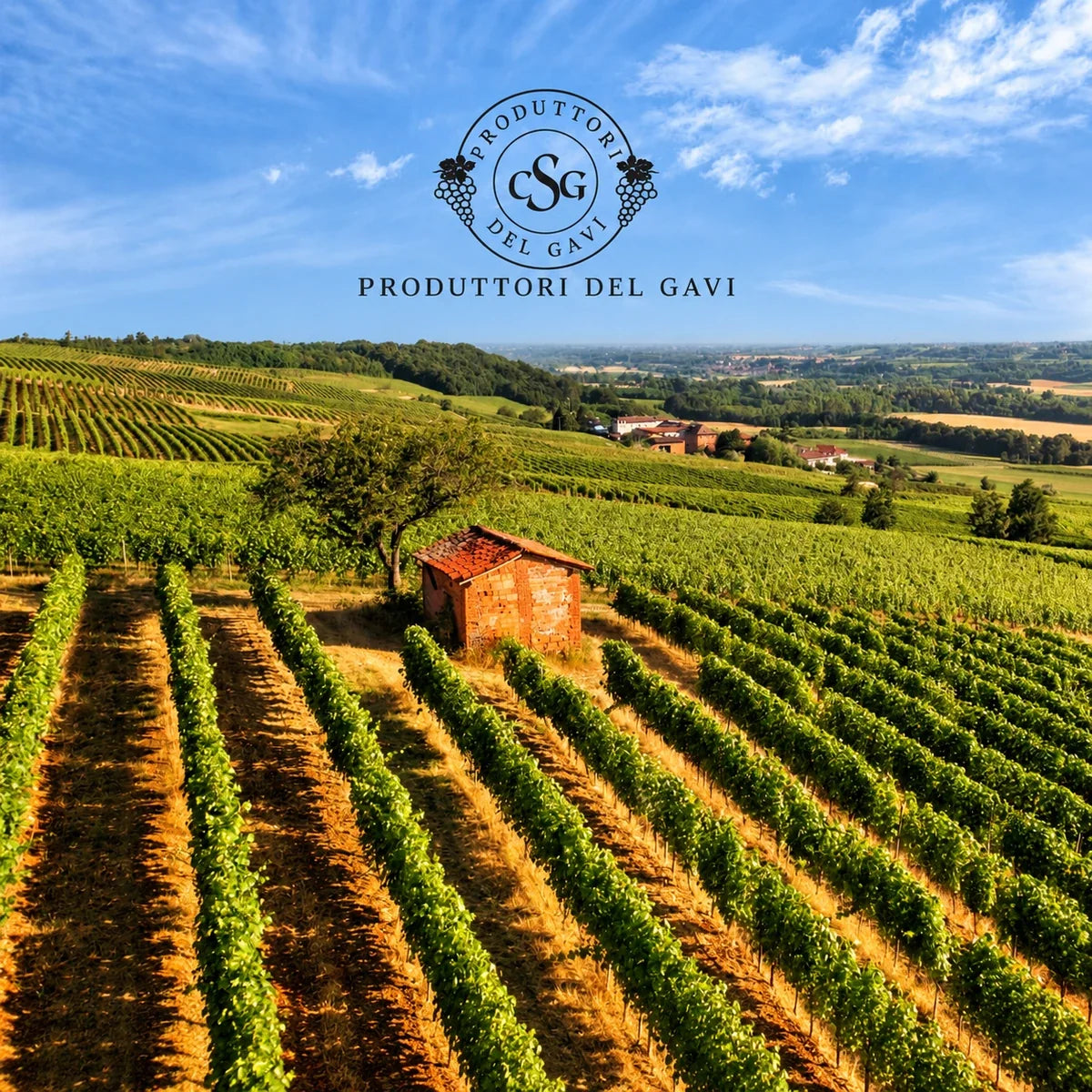 Produttori del Gavi, sfeerfoto met logo