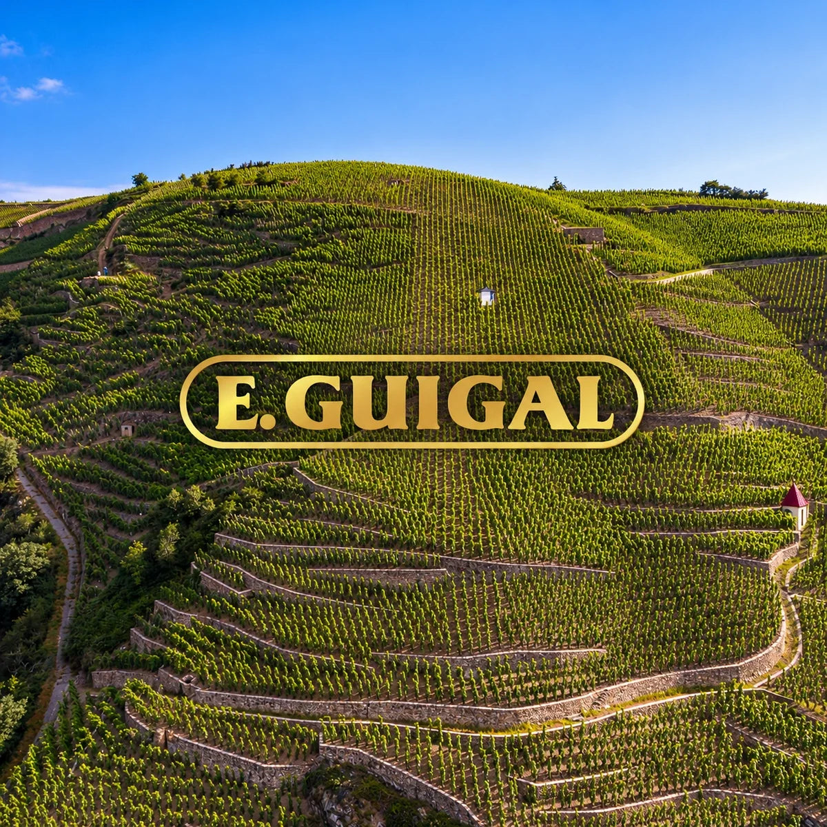 Guigal, sfeerfoto met logo