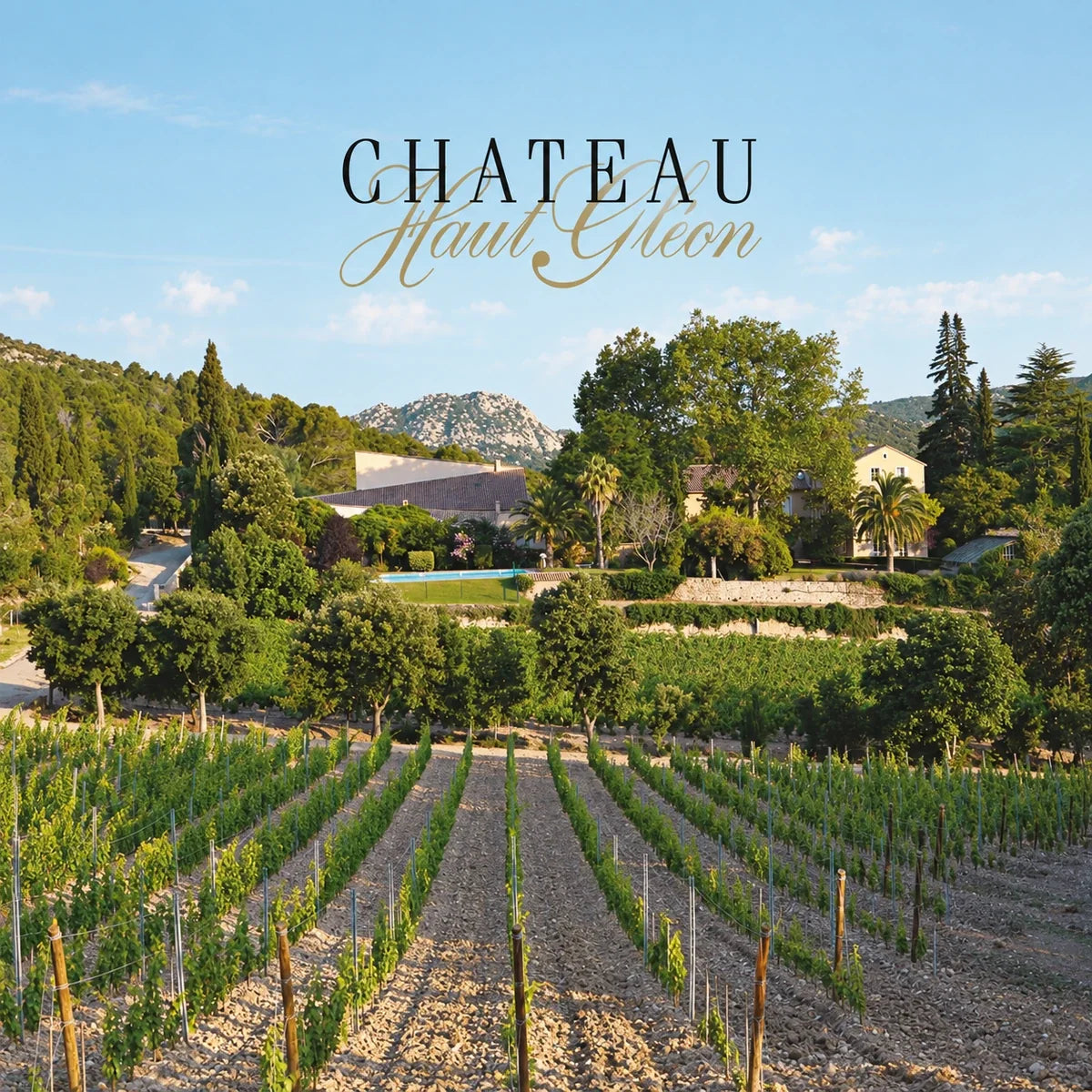 Château Haut Gleon, sfeerfoto met logo