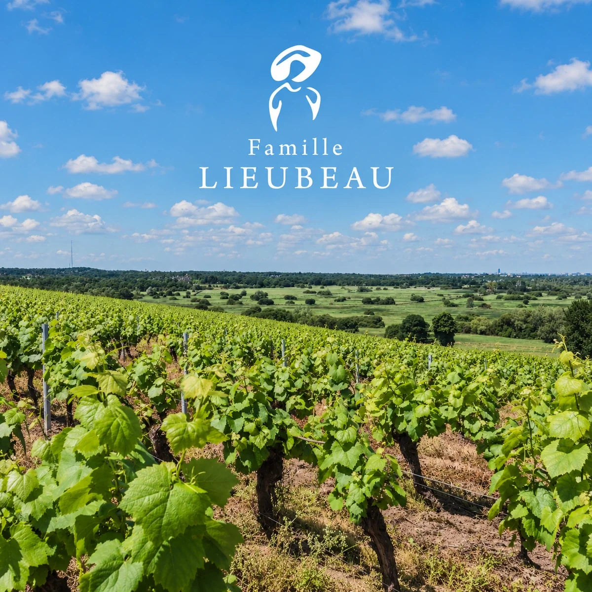 Lieubeau, sfeerfoto met logo