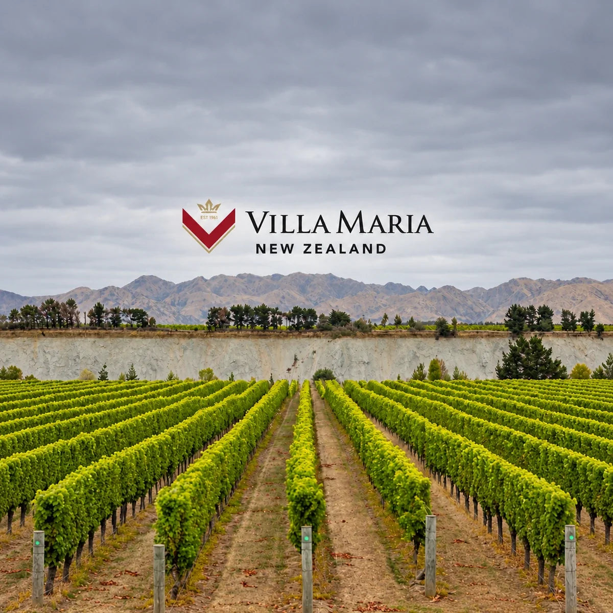 Villa Maria, sfeerfoto met logo