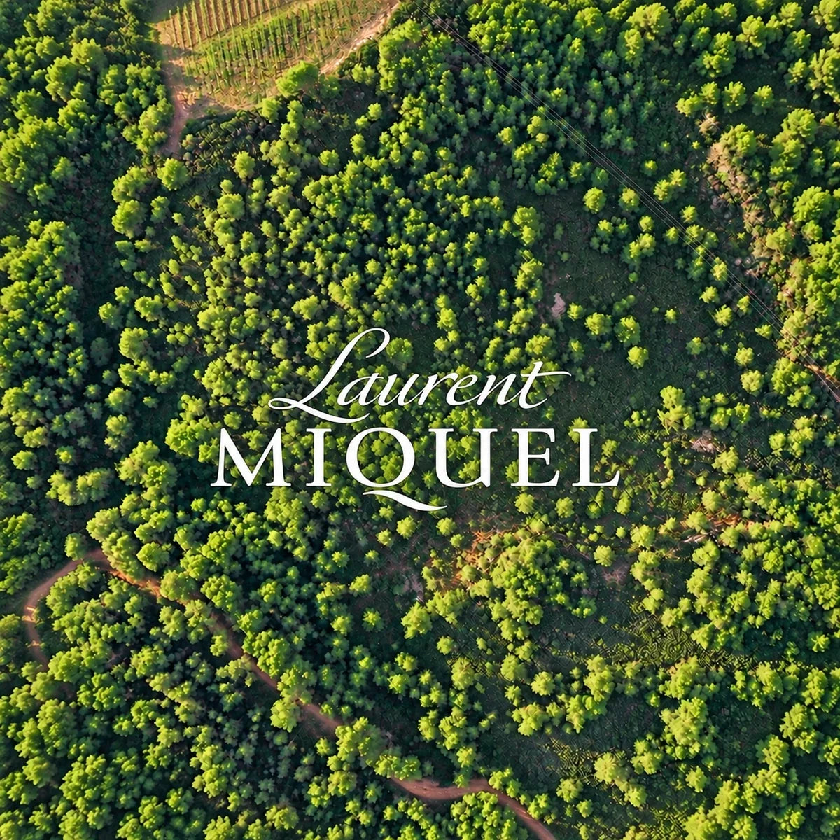 Laurent Miquel sfeerfoto met logo