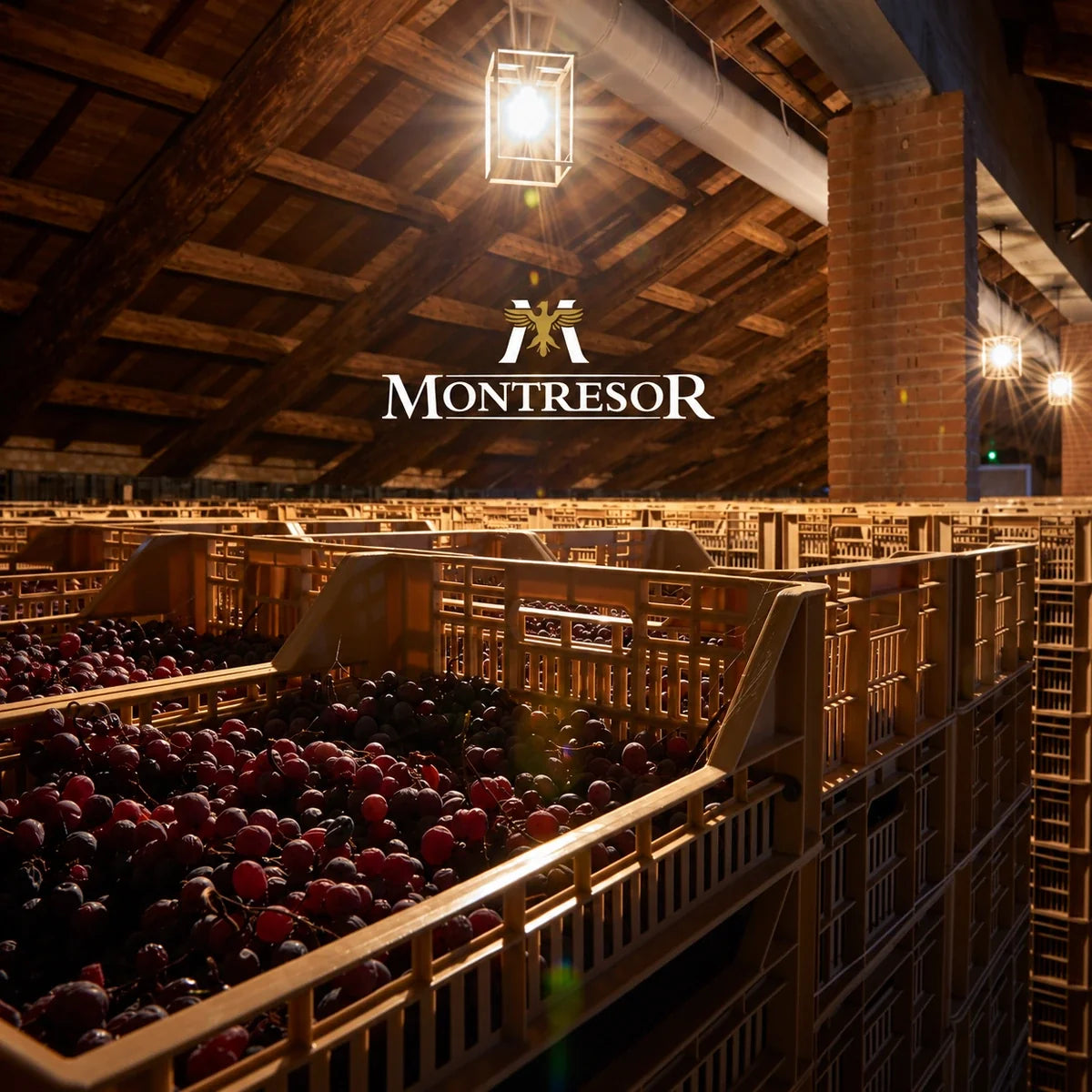 Montresor, sfeerfoto met logo