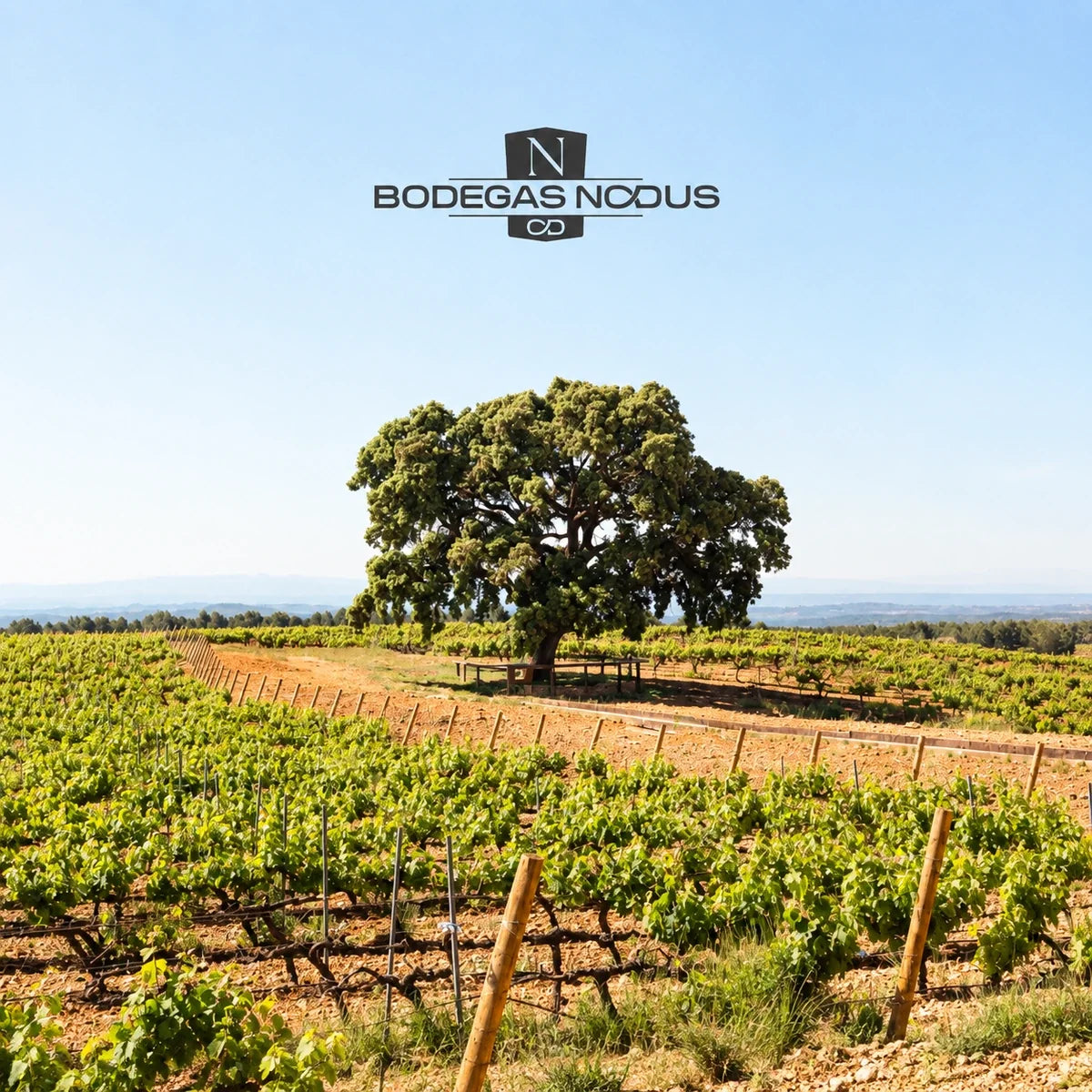 Bodegas Nodus, sfeerfoto met logo