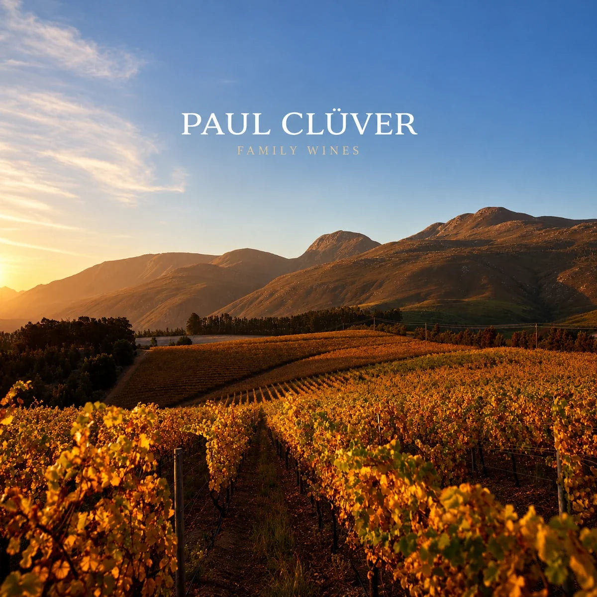 Paul Cluver, sfeerfoto met logo