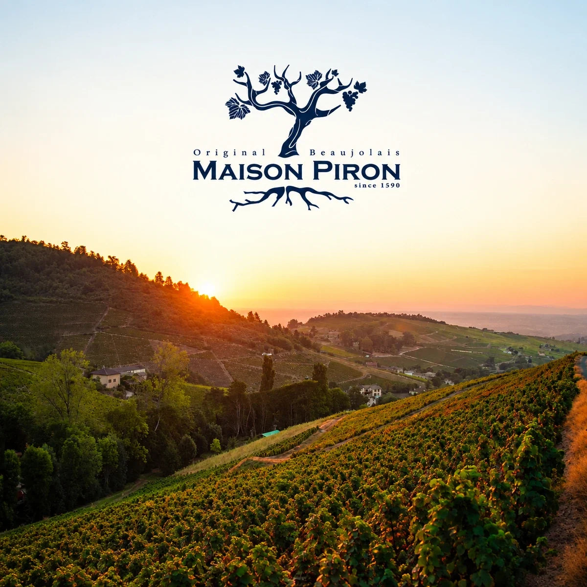 Domaine Piron, sfeerfoto met logo