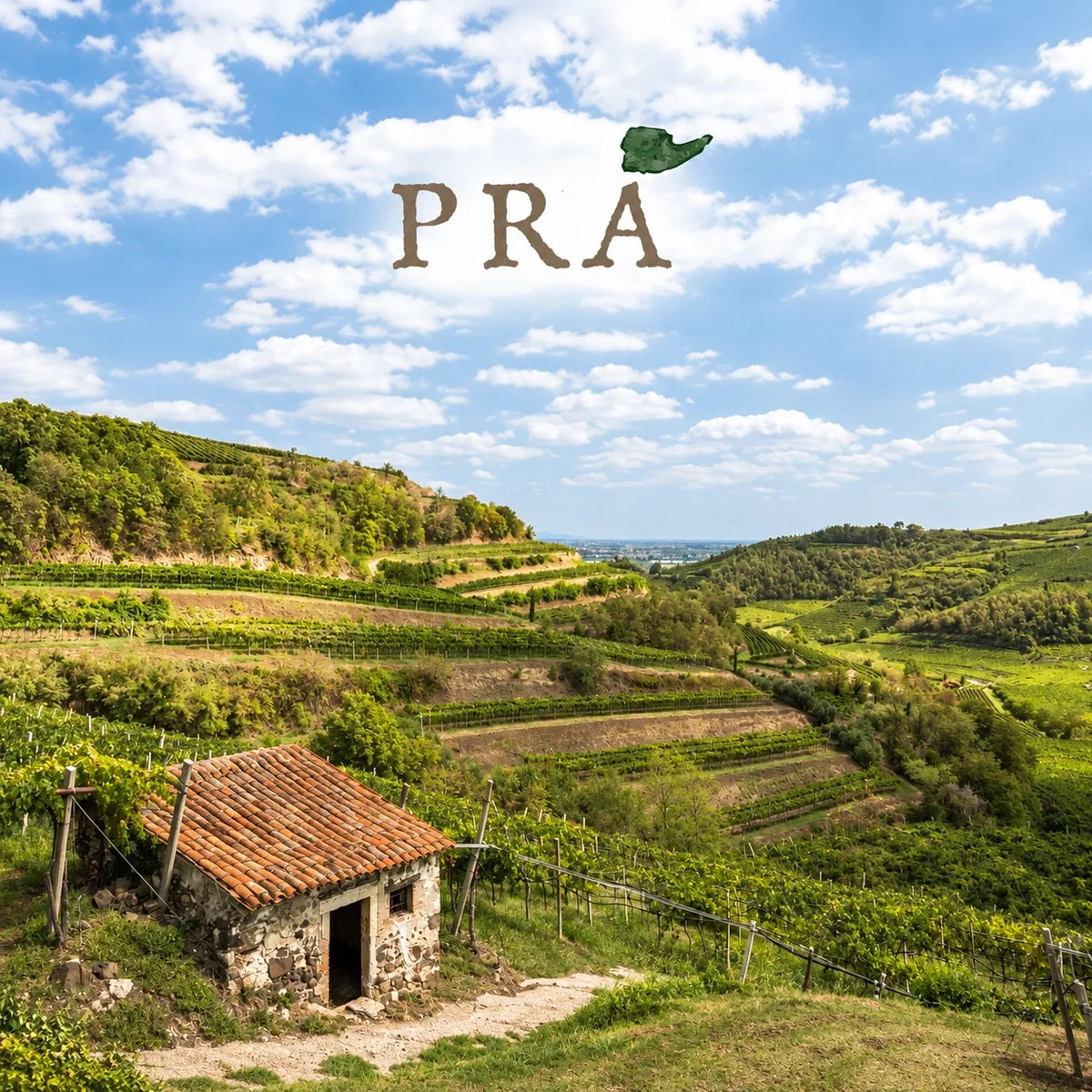 Azienda Agricola Di Graziano Pra, sfeerfoto met logo