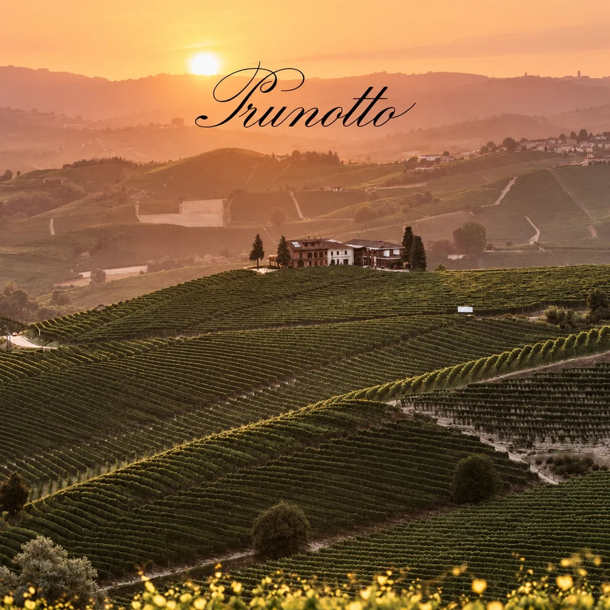 Prunotto, sfeerfoto met logo