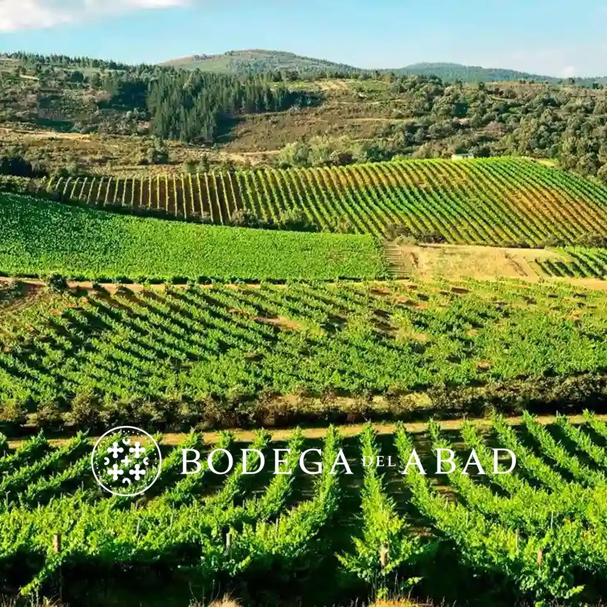 Bodega Del Abad wijnhuis