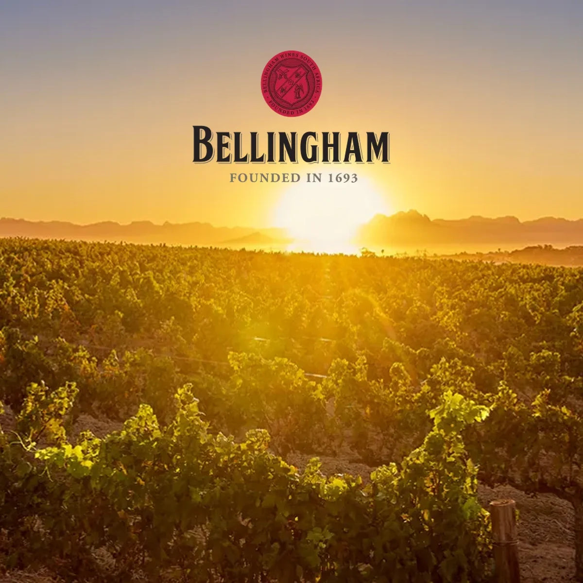 Bellingham — sfeerfoto met origineel logo