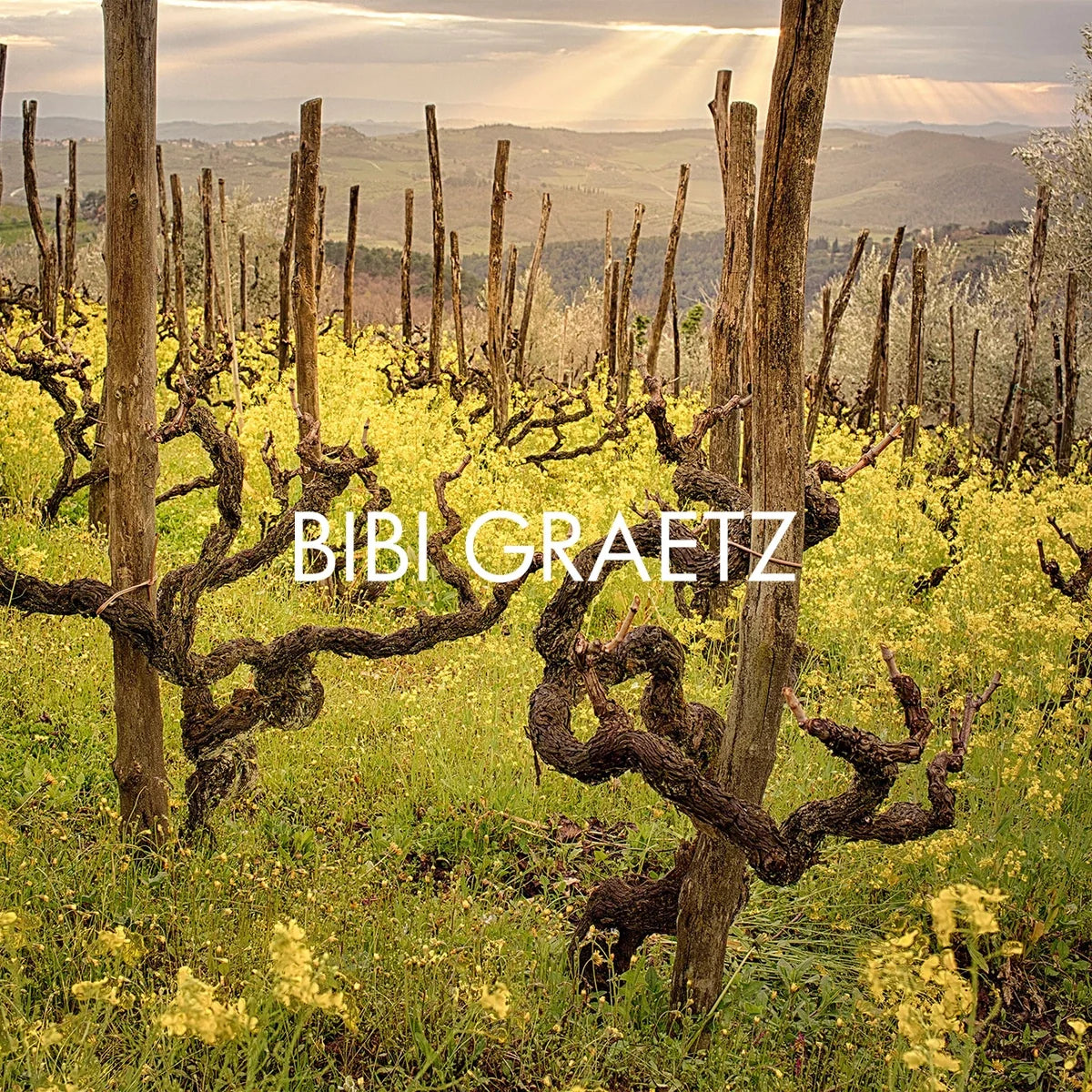 Bibi Graetz — sfeerfoto met origineel logo