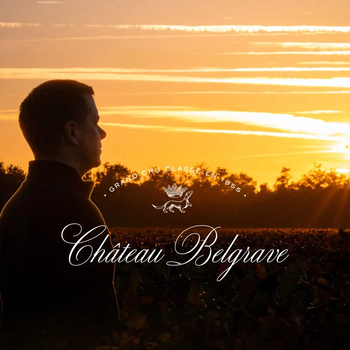 Château Belgrave, sfeerfoto met wijnhuislogo