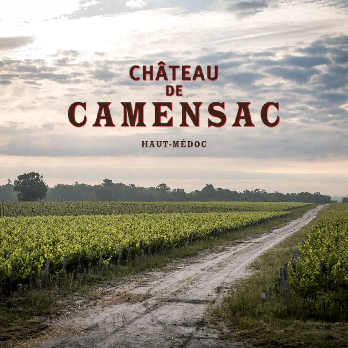 Château de Camensac, sfeerfoto met wijnhuislogo
