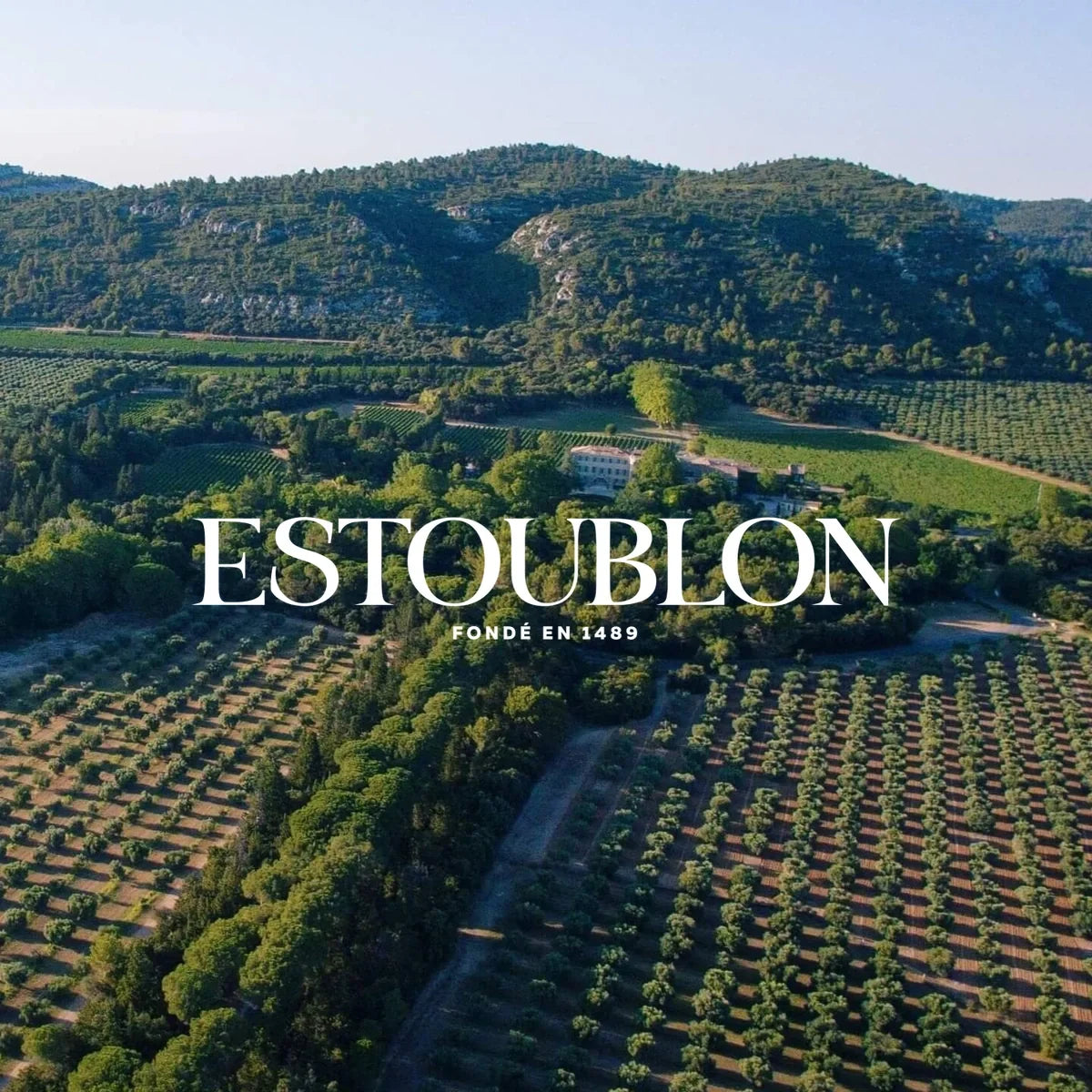 Château Estoublon, sfeerfoto met wijnhuislogo