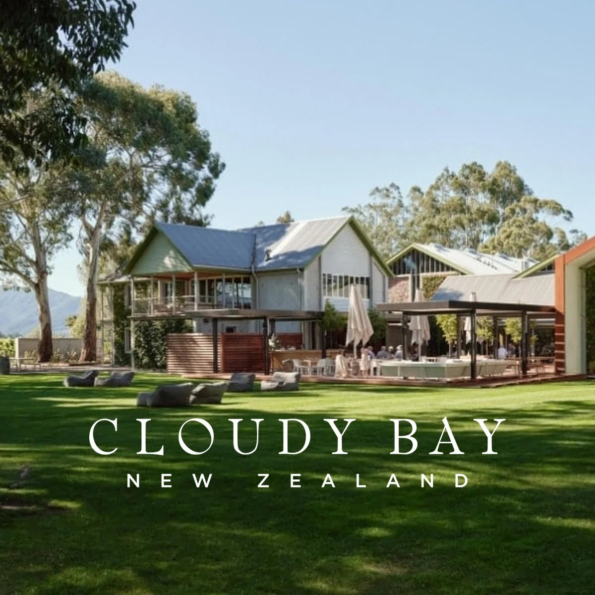 Cloudy Bay, sfeerfoto met wijnhuislogo