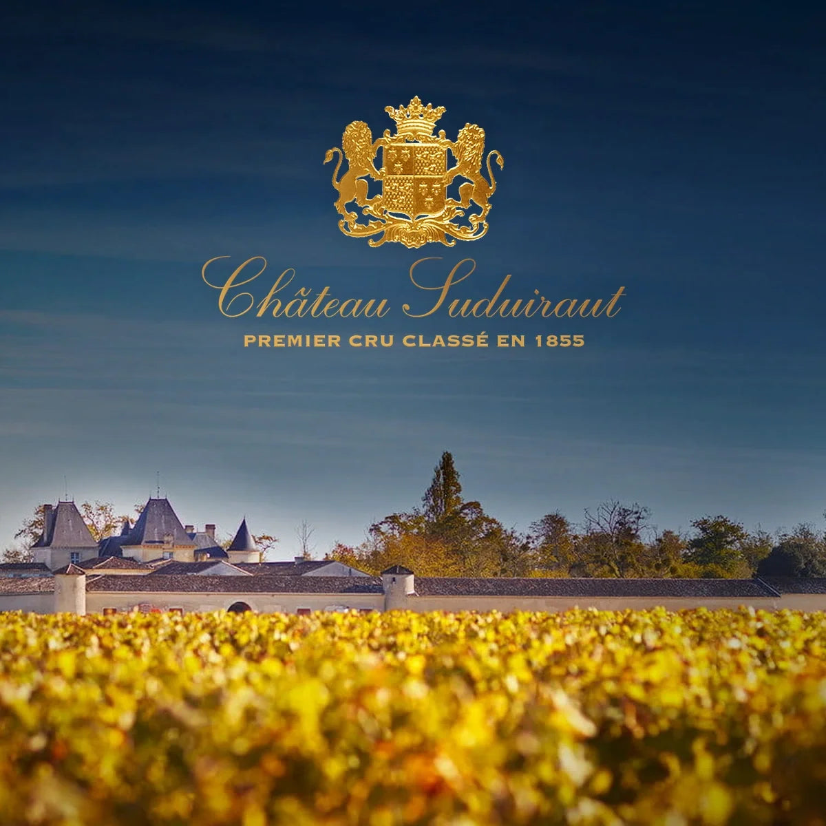 Château Suduiraut, sfeerfoto met wijnhuislogo