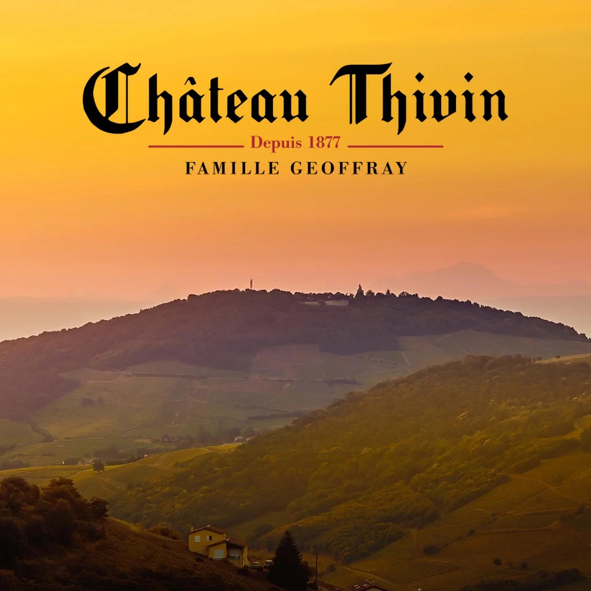 Château Thivin, sfeerfoto met wijnhuislogo