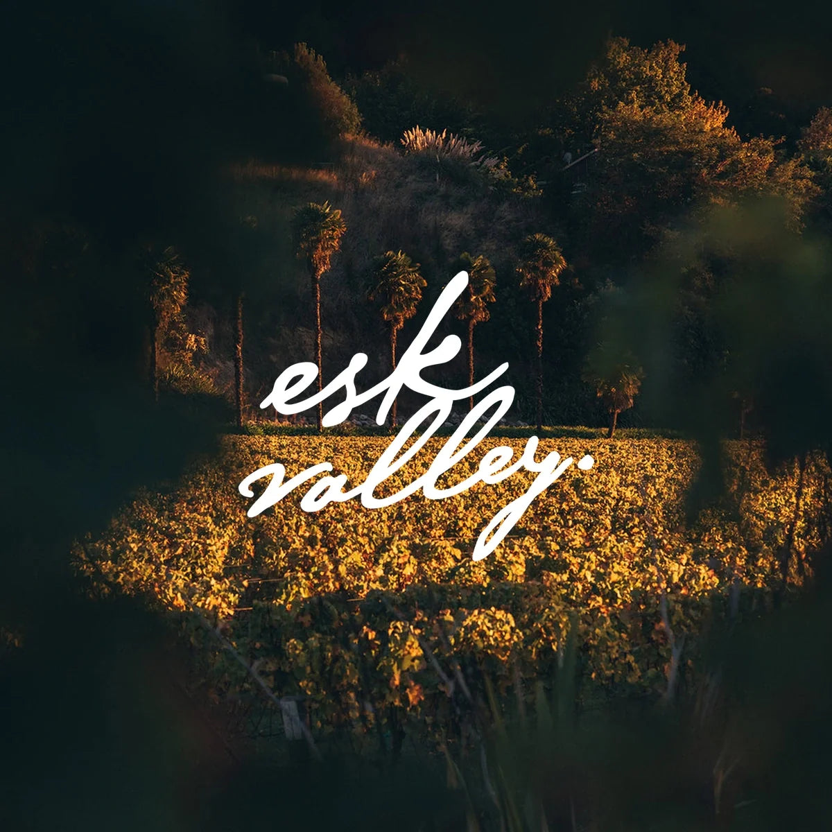 Esk Valley – wijnhuis met logo