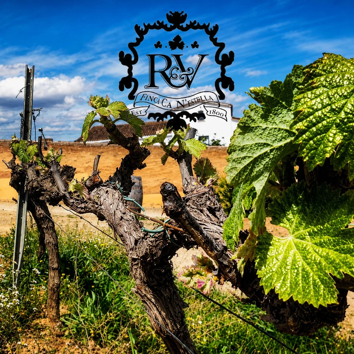 Finca Ca n Estella – wijnhuis met logo