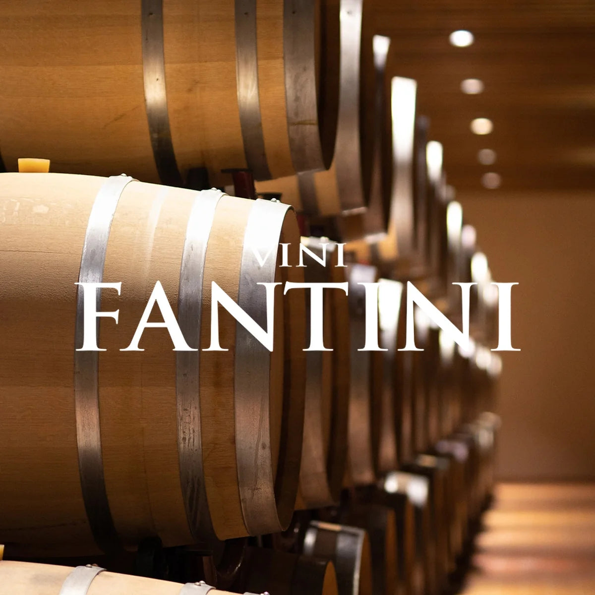 Fantini – wijnhuis met logo