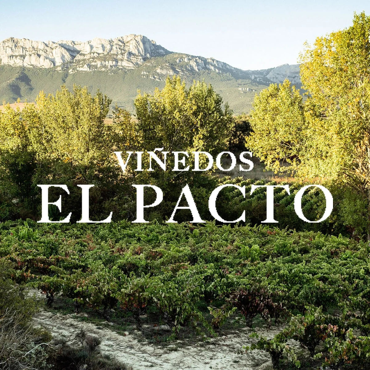 El Pacto – wijnhuis met logo