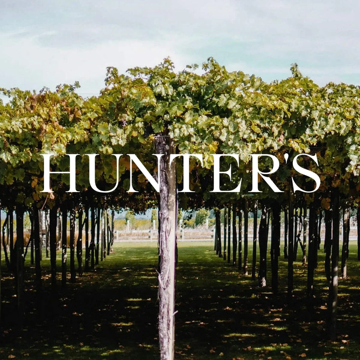 Hunter's - wijnhuis met logo