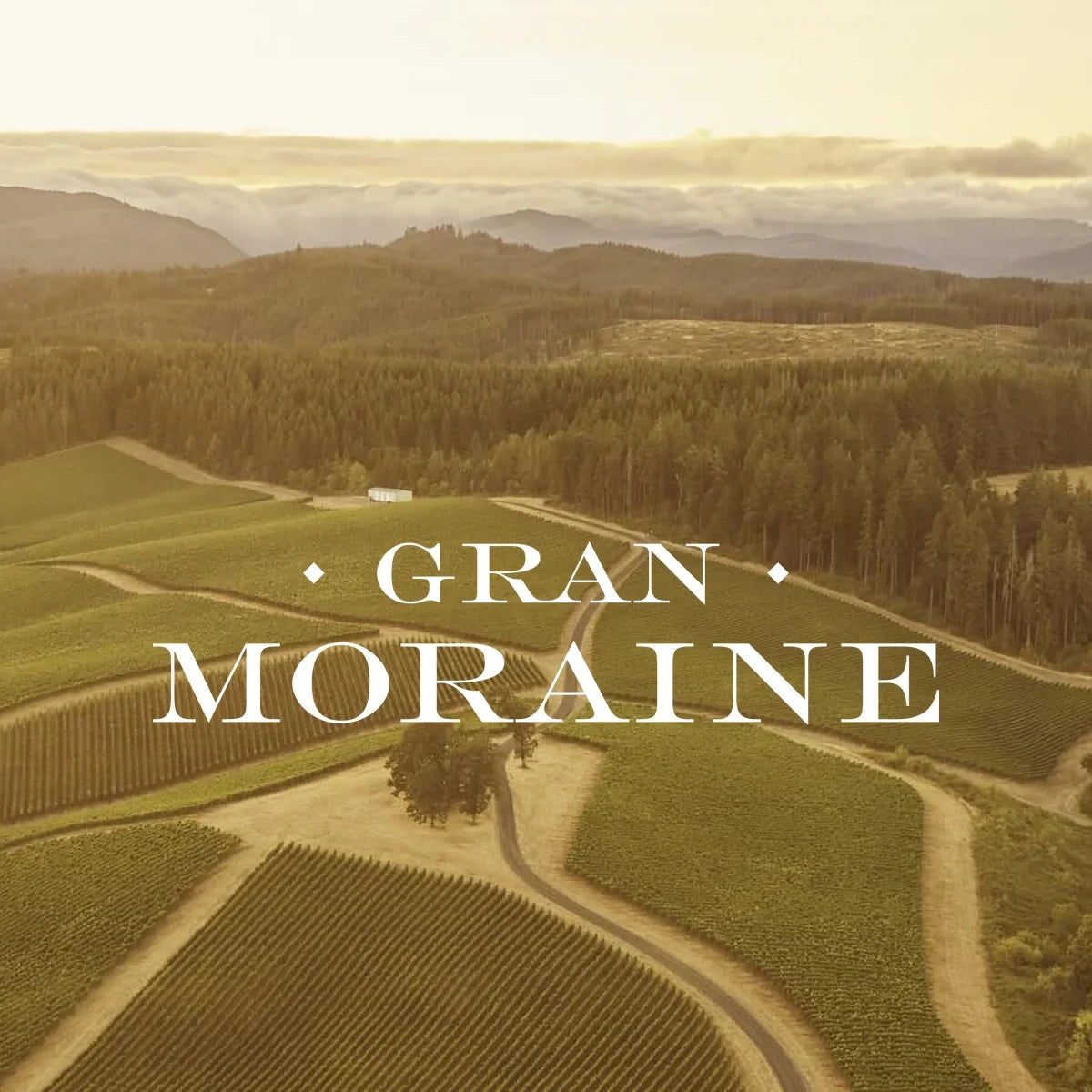 Gran Moraine - wijnhuis met logo