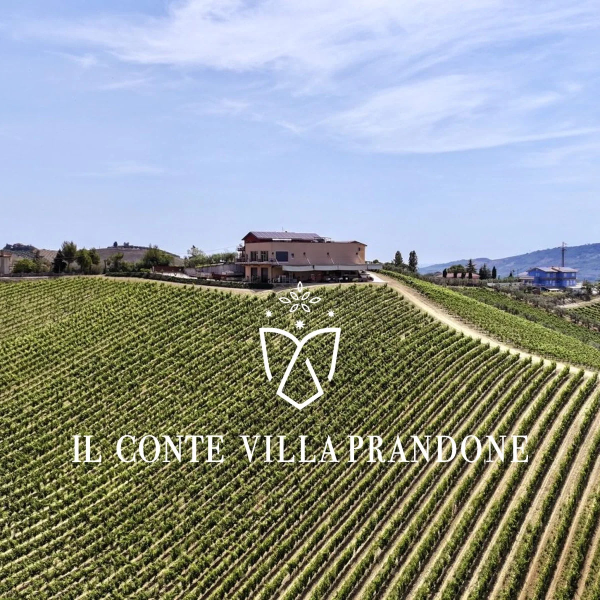 Il Conte Villa Prandone - wijnhuis met logo