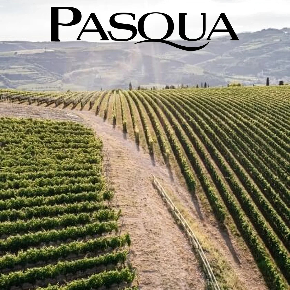 Pasqua – wijnhuis en origineel logo