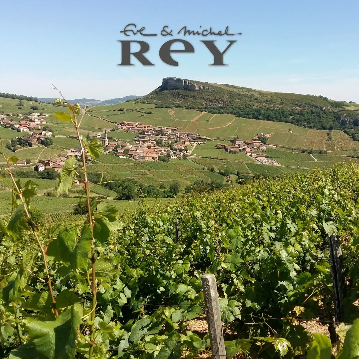 Domaine Eve & Michel Rey – wijngaarden met origineel logo