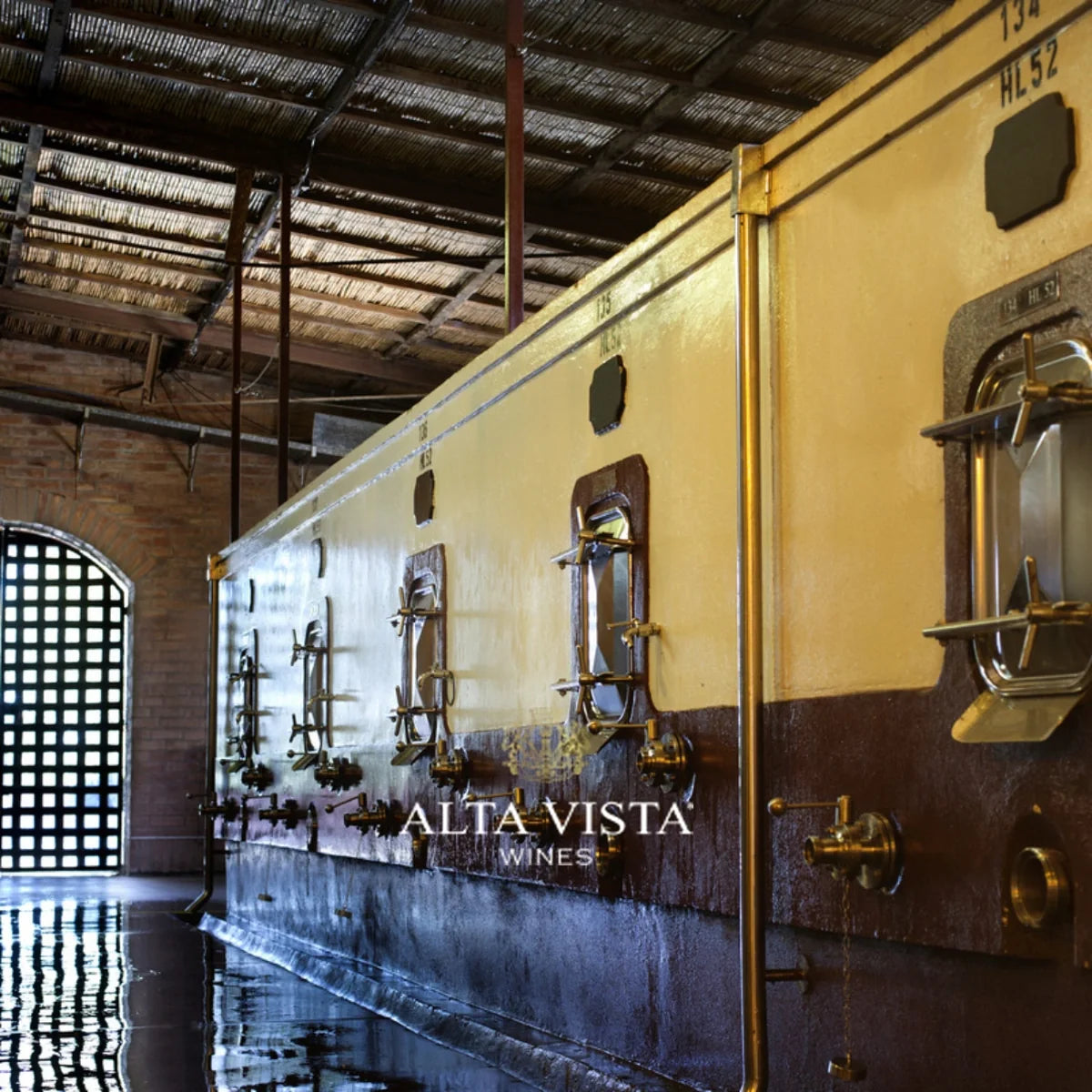 Alta Vista