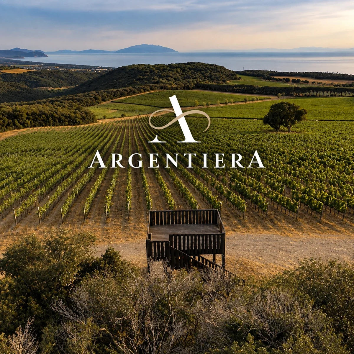 Tenuta Argentiera wijnhuis en logo