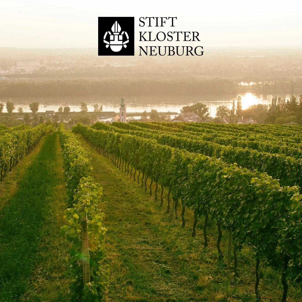 Stift Klosterneuburg — wijngaard met origineel logo