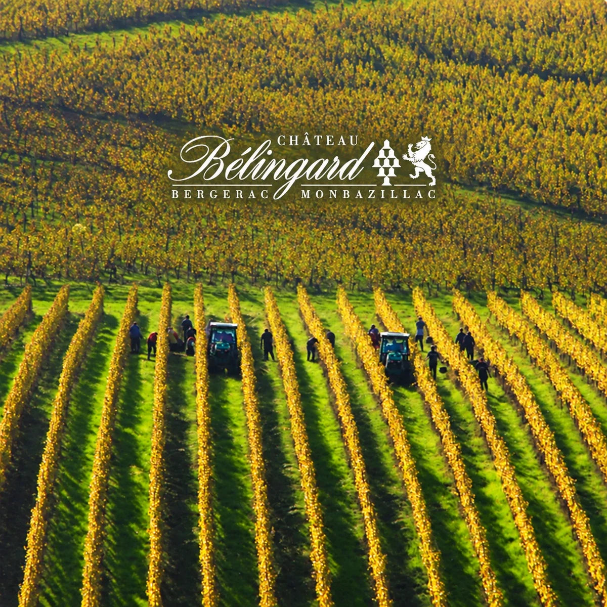 Château Belingard wijnhuis en logo