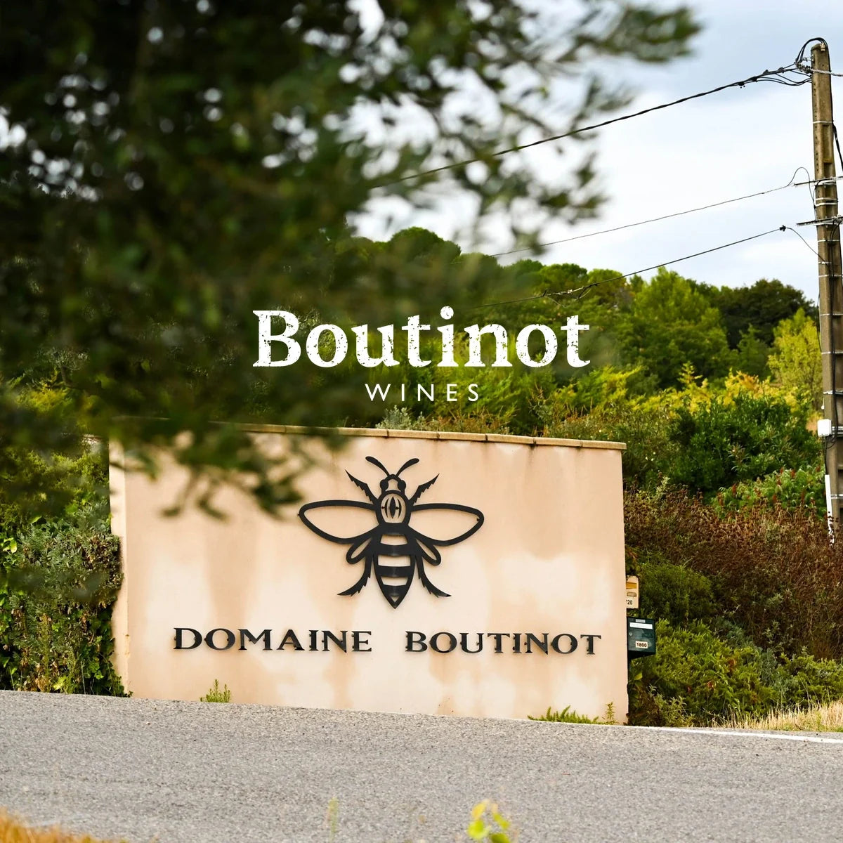 Boutinot – sfeerfoto met origineel logo