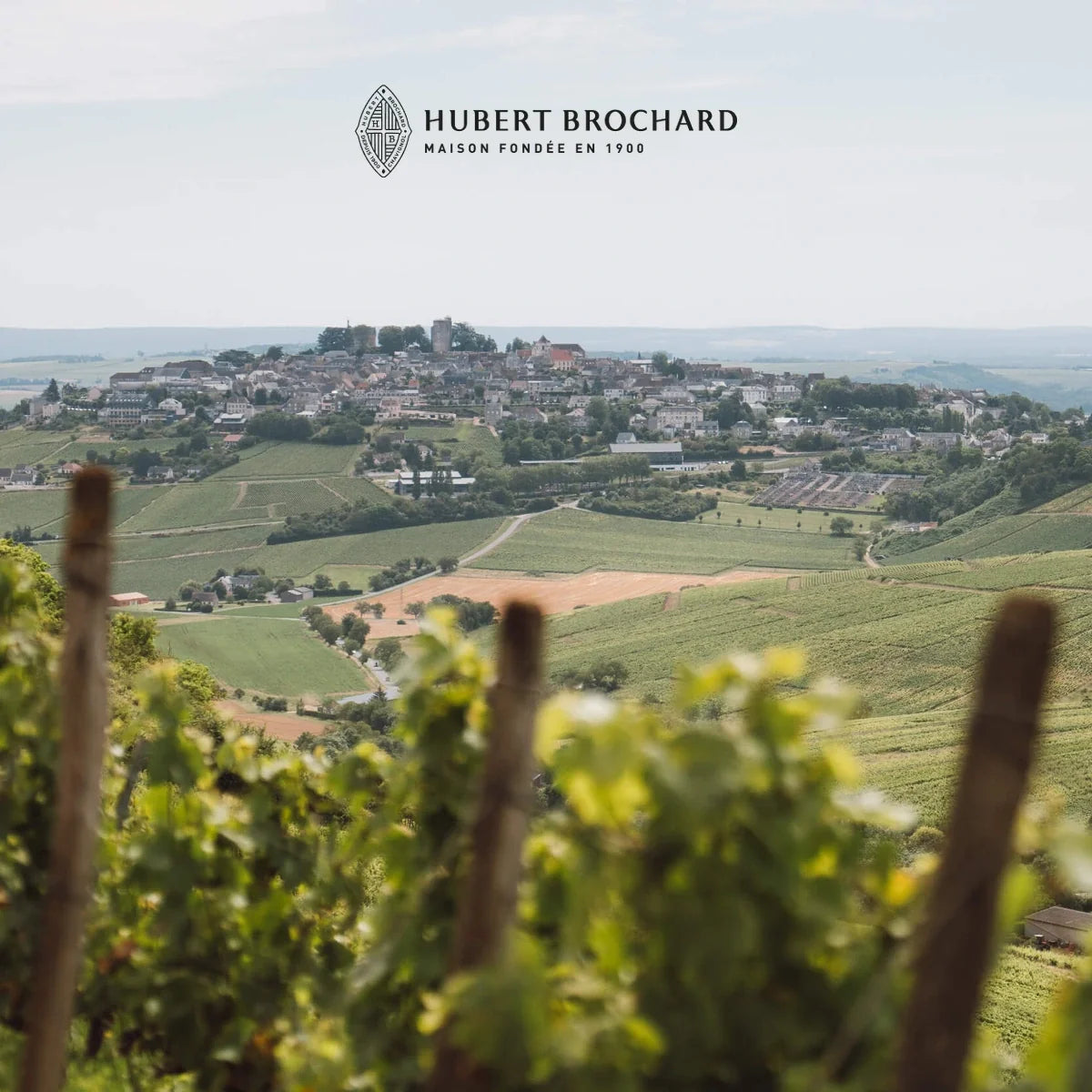 Brochard — sfeerfoto met officieel logo