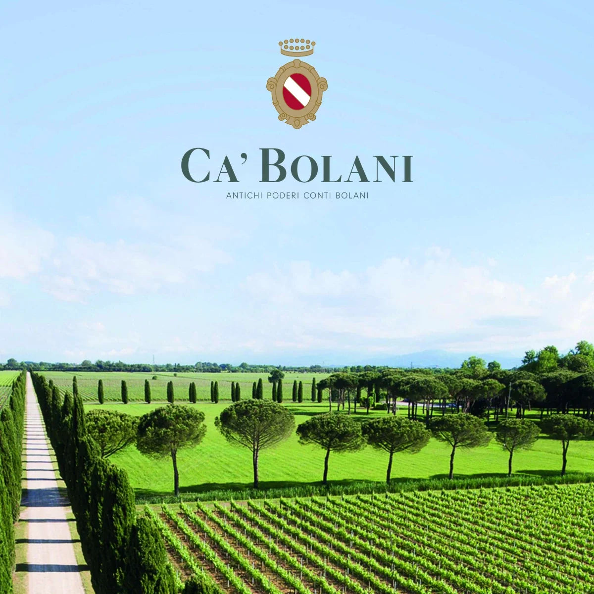 Ca'Bolani – sfeerfoto met origineel logo