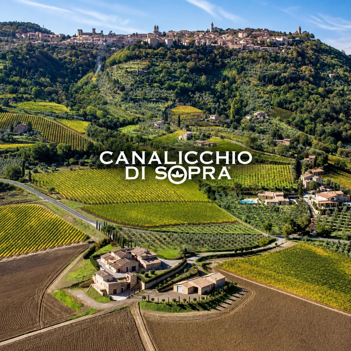 Canalicchio di Sopra wijnhuis en logo
