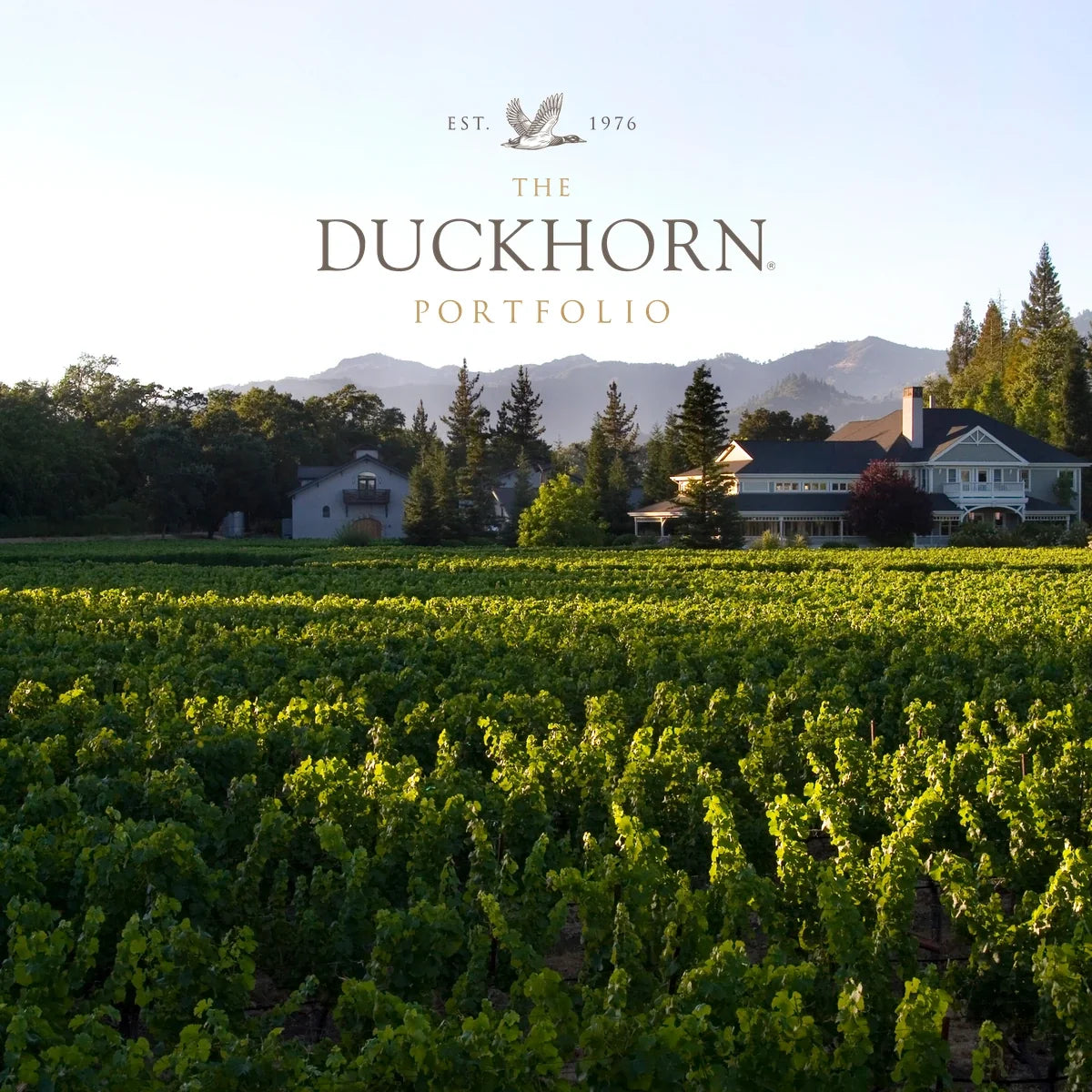 Duckhorn Portfolio — sfeerfoto met officieel logo