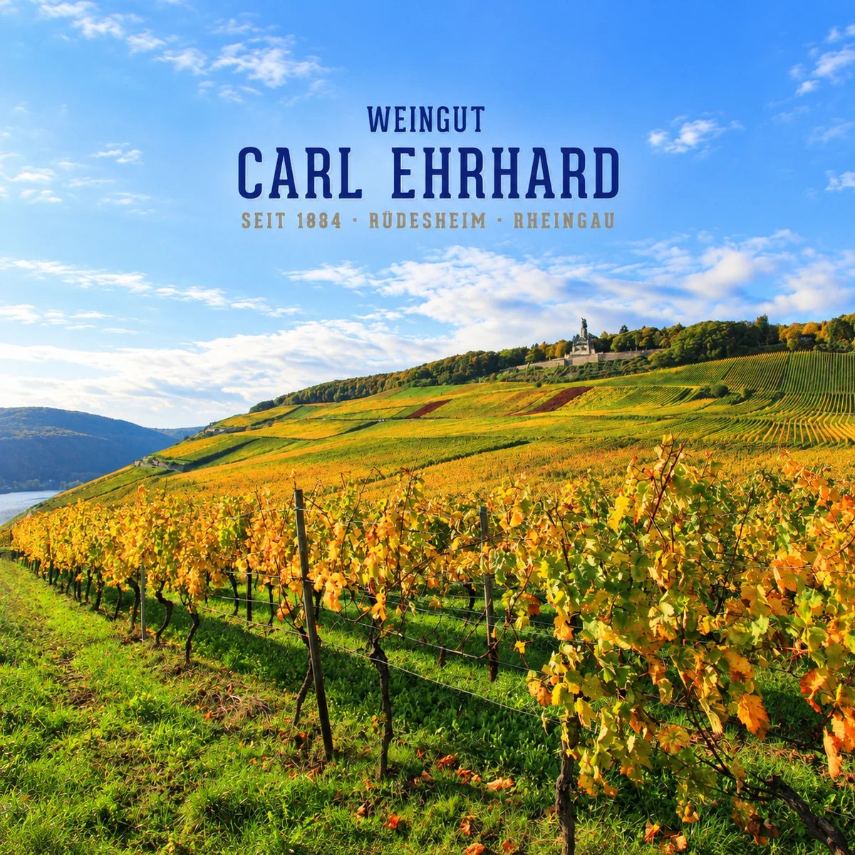 Weingut Carl Ehrhard wijnhuis en logo