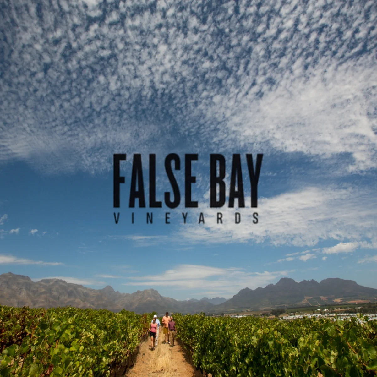 False Bay met officieel logo