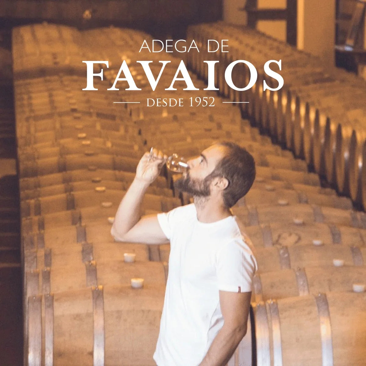 Adega de Favaios logo bij de wijnkelder