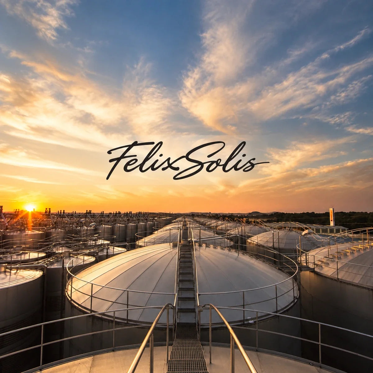 Felix Solis wijnhuis en logo